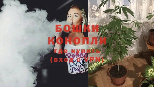 марки lsd Гатчина