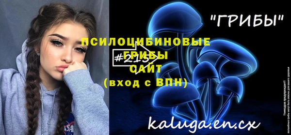 гидра Россошь