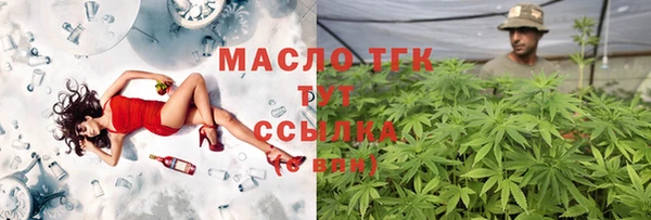 гашик Галич
