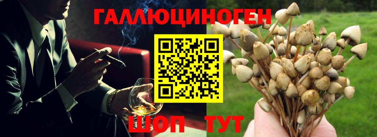Галлюциногенные грибы мицелий  Галлюциногенные грибы мицелий  Кизляр  Вход с VPN 