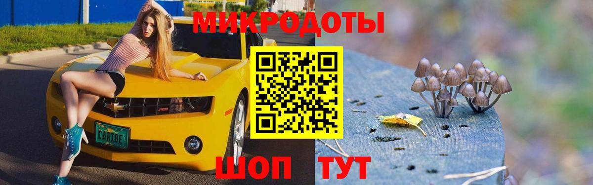 Галлюциногенные грибы GOLDEN TEACHER Кизляр